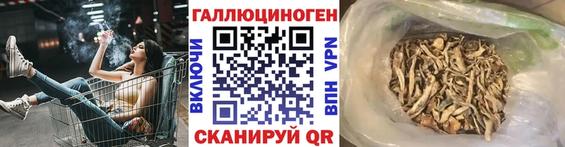Галлюциногенные грибы GOLDEN TEACHER МЕГА ТОР Сасово
